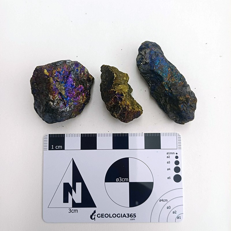 Calcopirita iridiscente