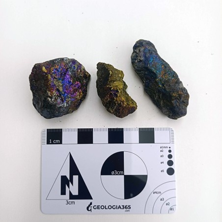 Calcopirita iridiscente