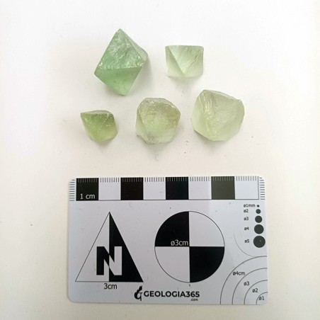 Octahedral Fluorite