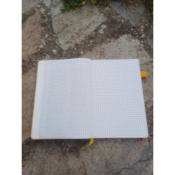 Waterproof geological field notebook