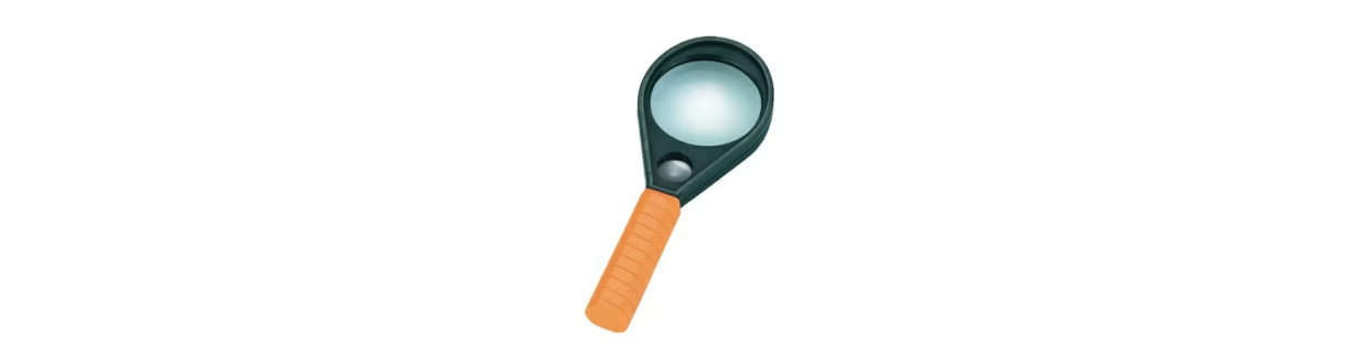 School magnifying glasses